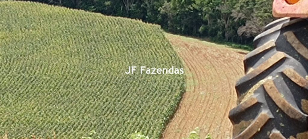 Fazenda em Guarará – MG 415 hectares