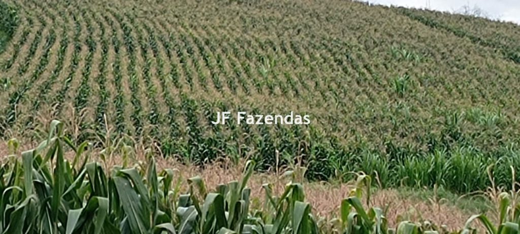 Fazenda em Guarará – MG 415 hectares