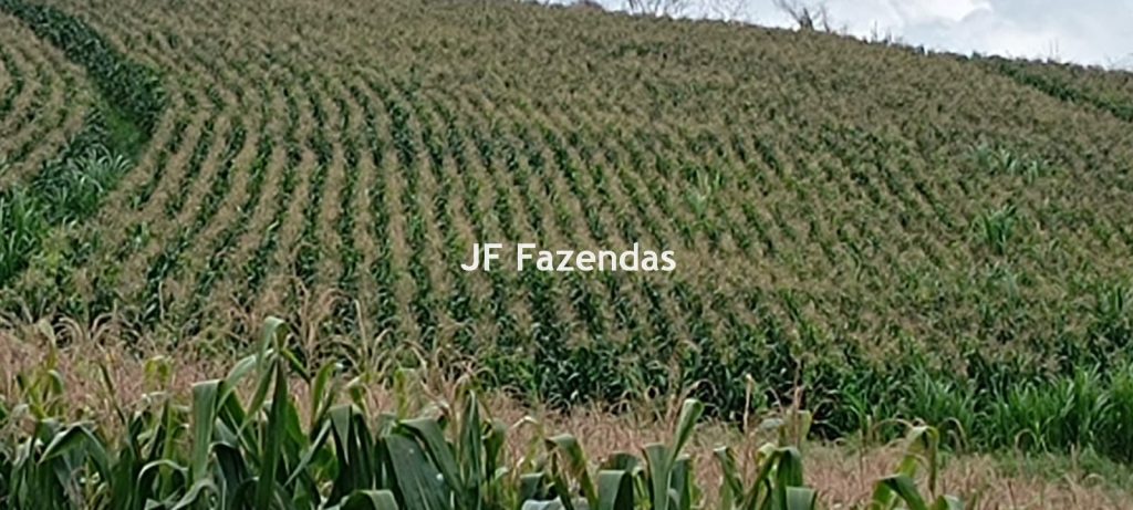 Fazenda em Guarará – MG 415 hectares