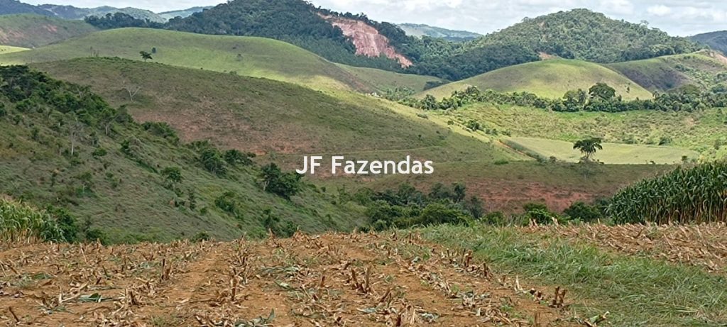 Fazenda em Guarará – MG 415 hectares