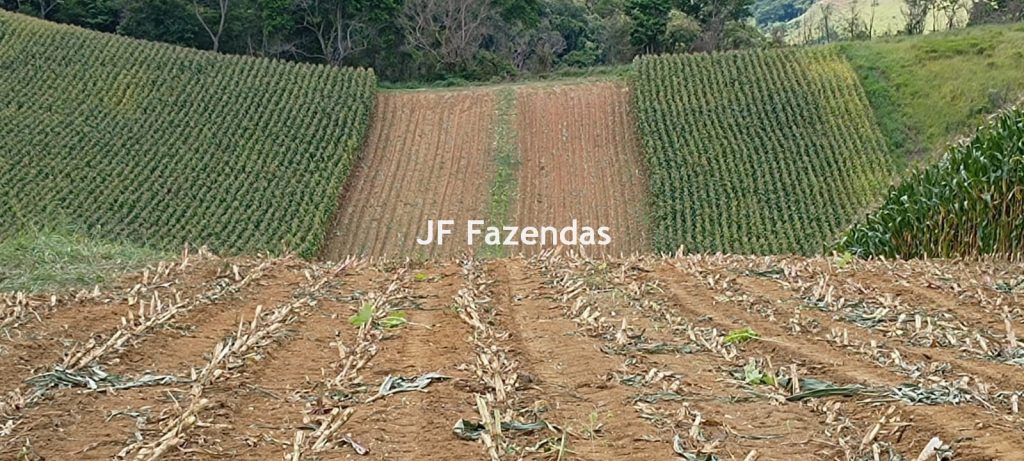 Fazenda em Guarará – MG 415 hectares