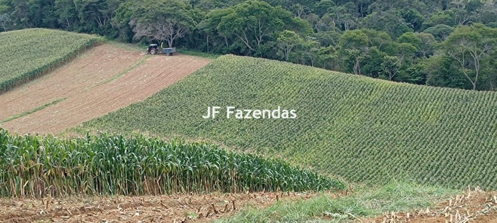 Fazenda em Guarará – MG 415 hectares