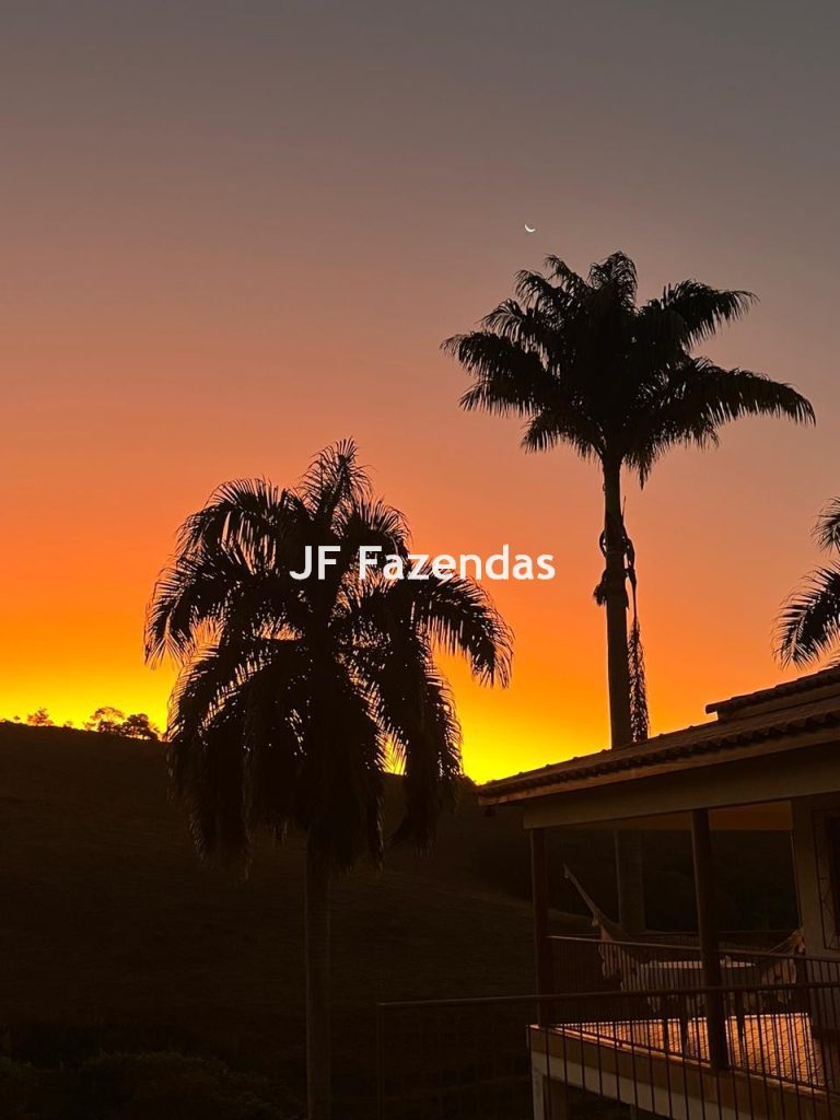 Fazenda em Guarará – MG 415 hectares