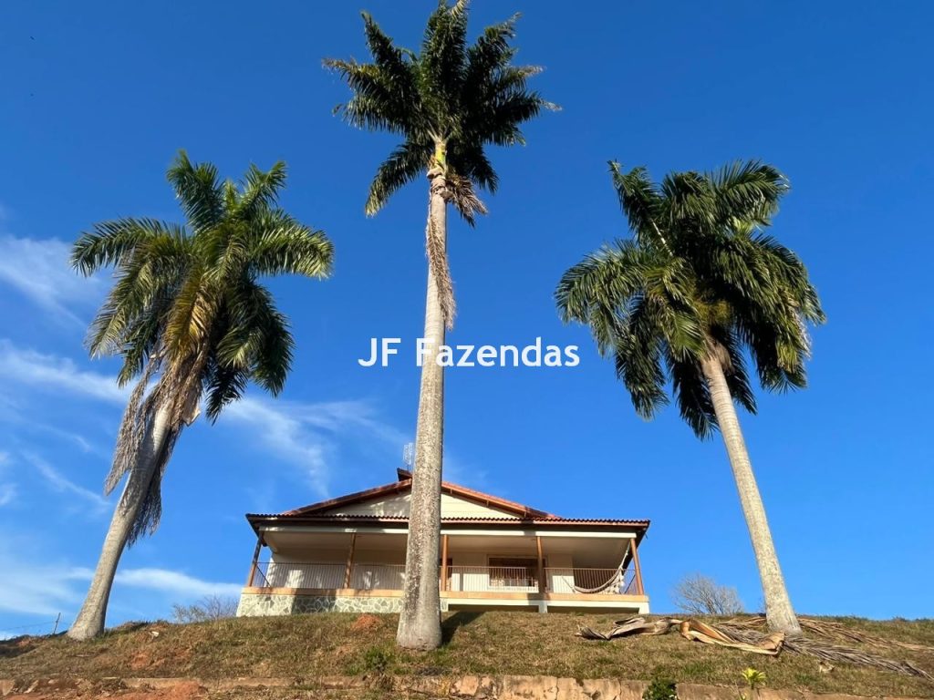 Fazenda em Guarará – MG 415 hectares