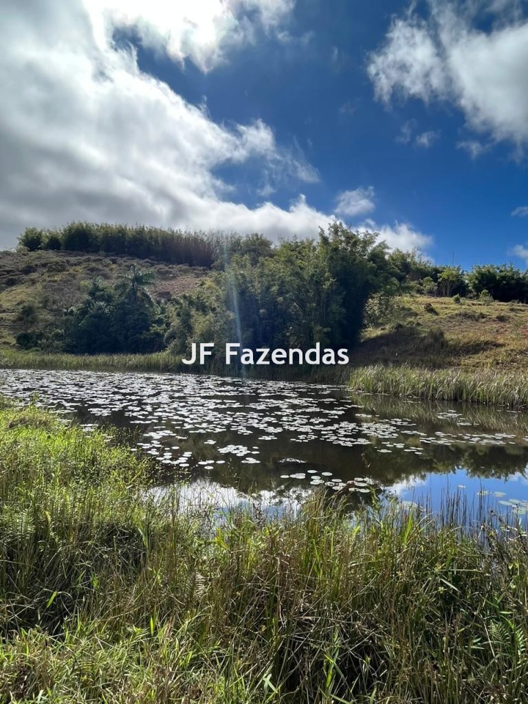 Fazenda em Guarará – MG 415 hectares