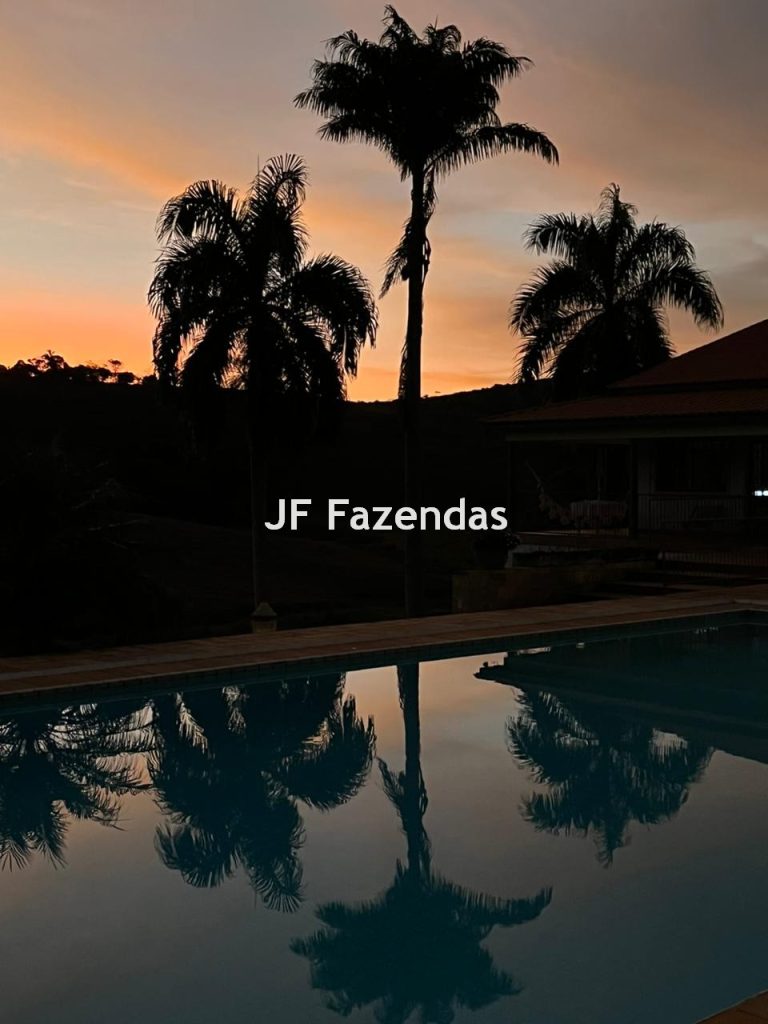 Fazenda em Guarará – MG 415 hectares