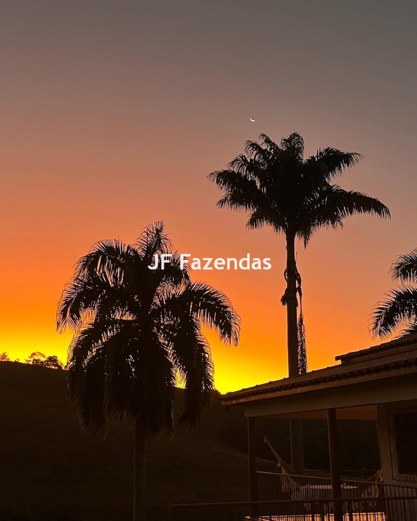 Fazenda em Guarará – MG 415 hectares