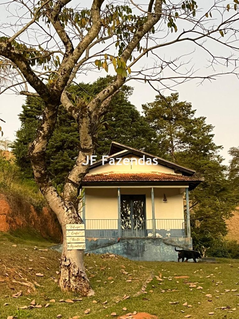 Fazenda em Guarará – MG 415 hectares