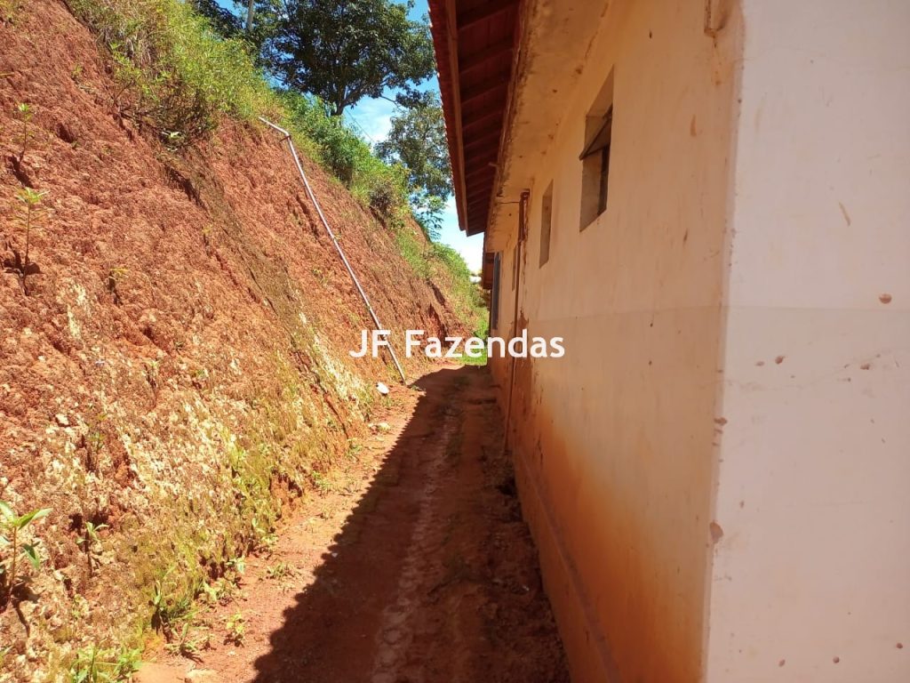 Fazenda em Guarará – MG 415 hectares