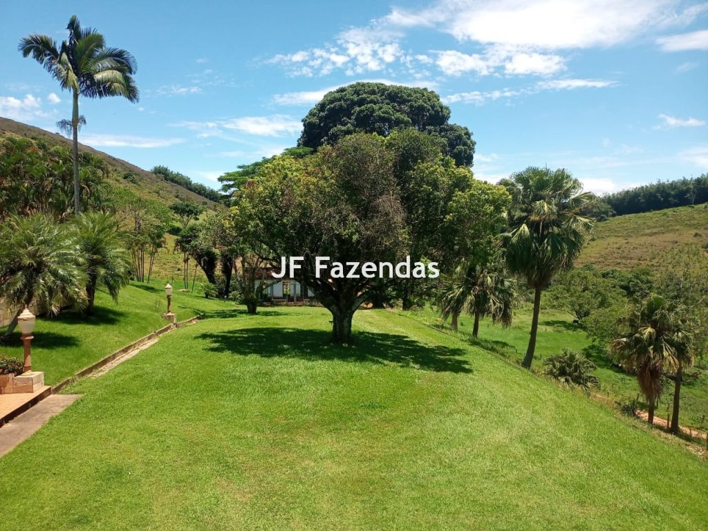 Fazenda em Guarará – MG 415 hectares