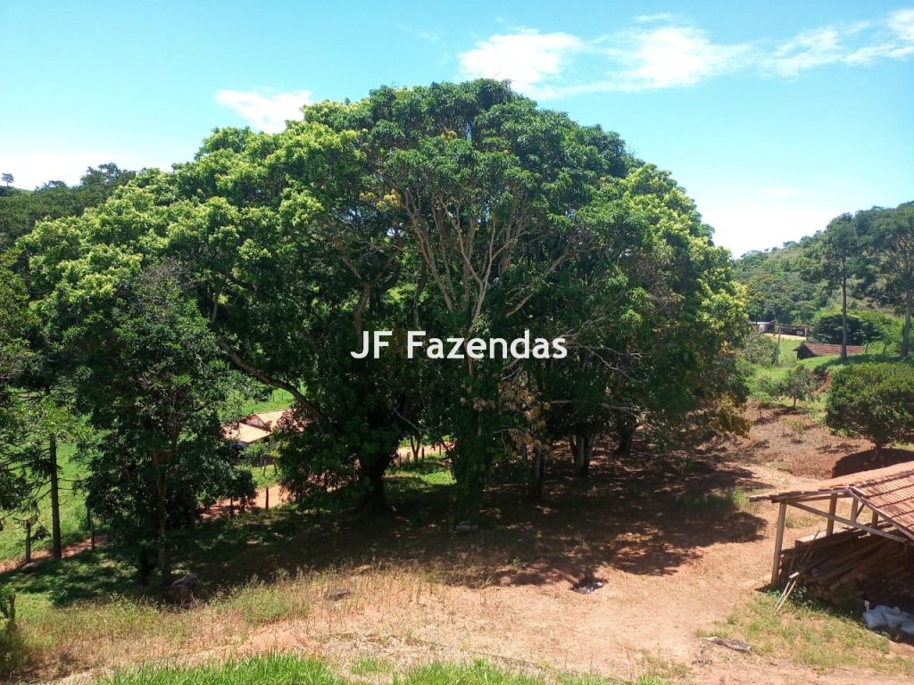 Fazenda em Guarará – MG 415 hectares