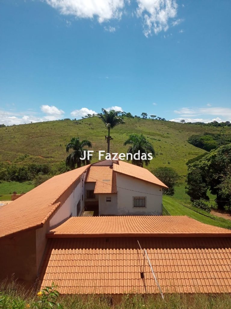 Fazenda em Guarará – MG 415 hectares