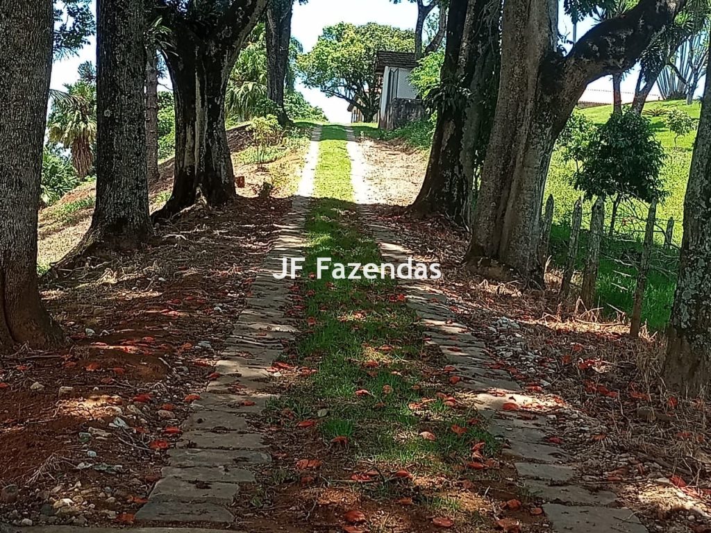 Fazenda em Guarará – MG 415 hectares