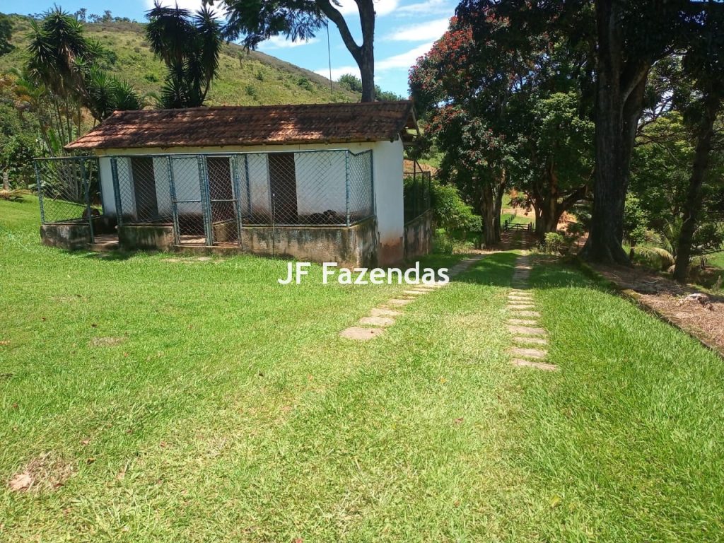 Fazenda em Guarará – MG 415 hectares