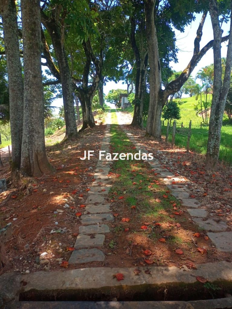 Fazenda em Guarará – MG 415 hectares