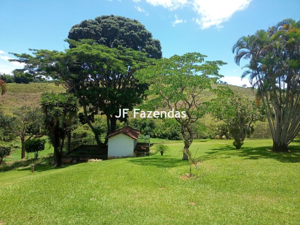 Fazenda em Guarará – MG 415 hectares