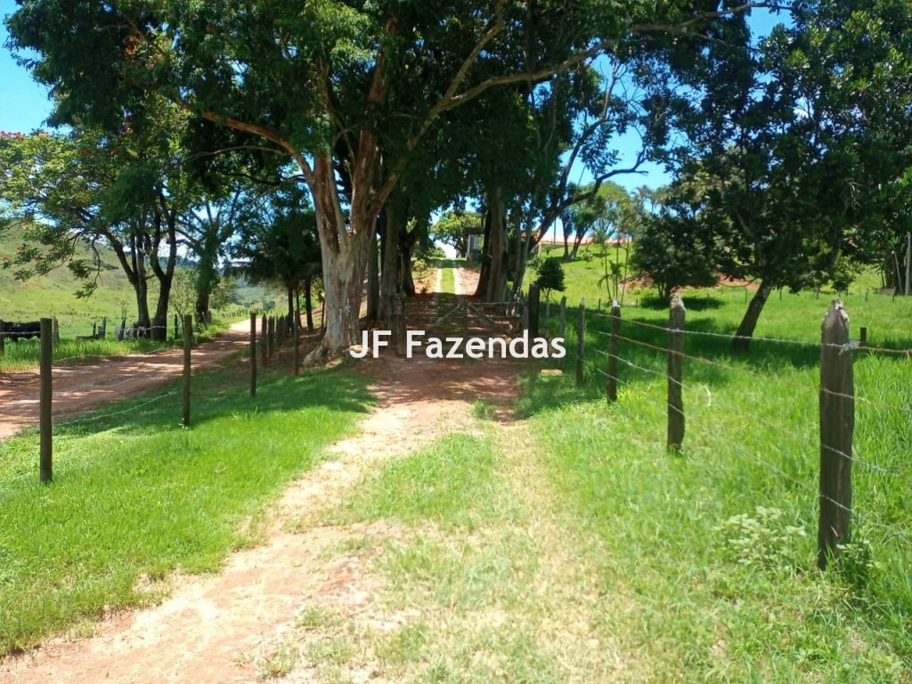 Fazenda em Guarará – MG 415 hectares