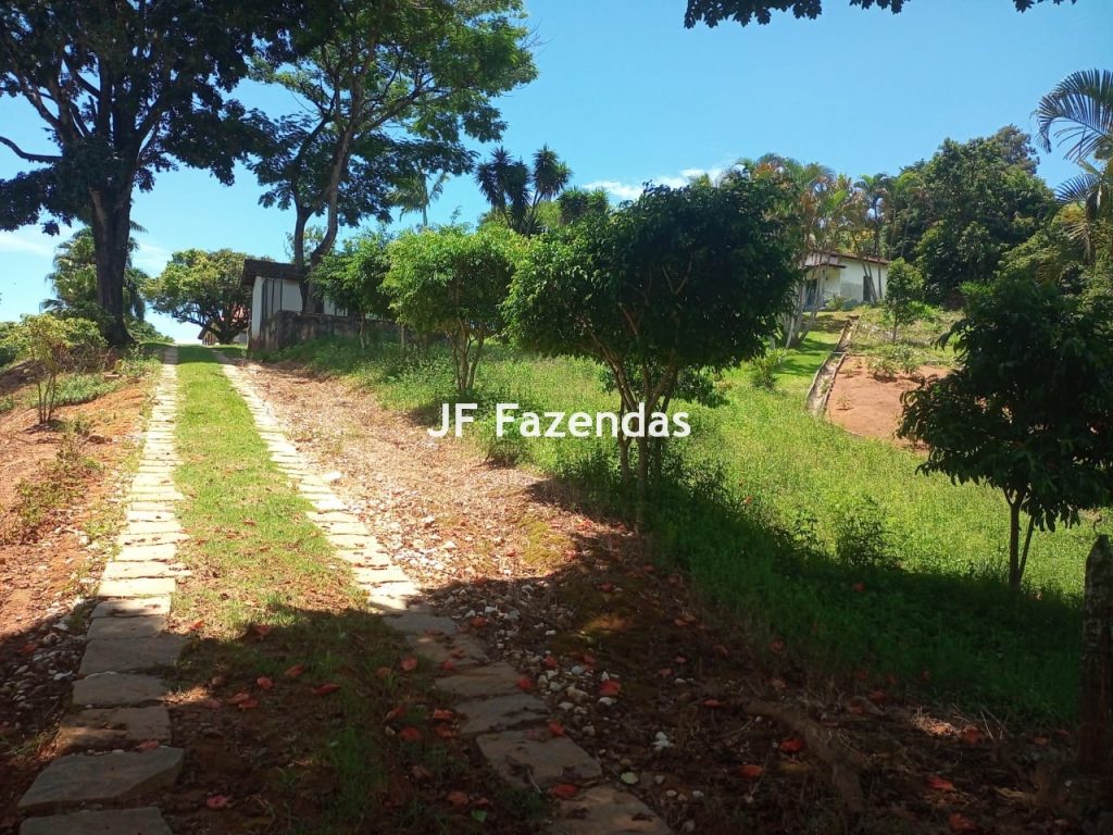 Fazenda em Guarará – MG 415 hectares