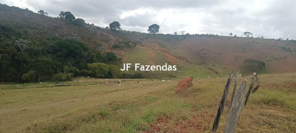 Fazenda em Guarará – MG 415 hectares