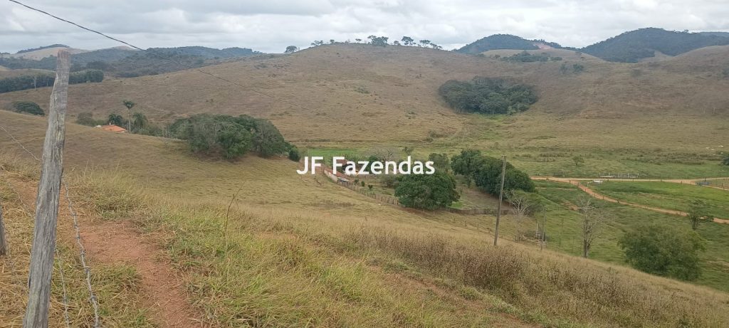 Fazenda em Guarará – MG 415 hectares