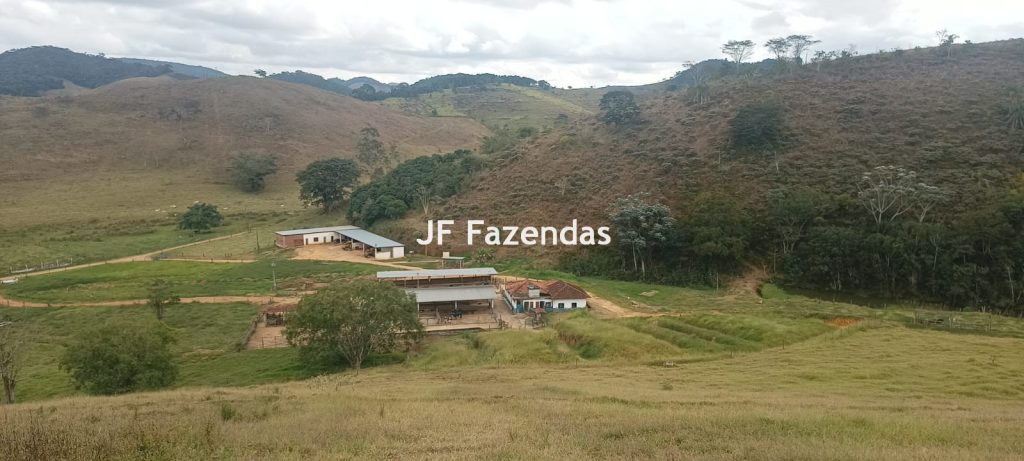 Fazenda em Guarará – MG 415 hectares