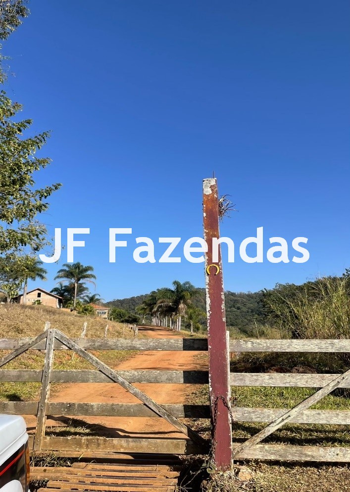 Fazenda em Serranos – MG – 84 hectares