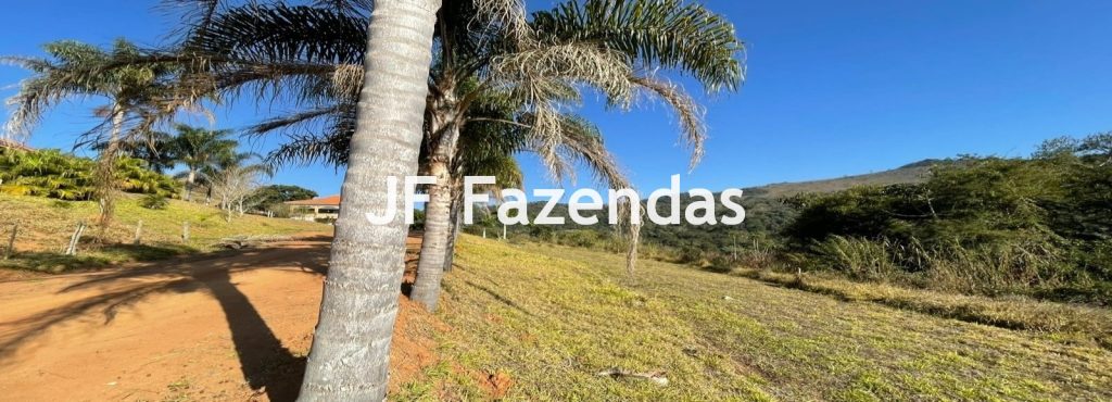 Fazenda em Serranos – MG – 84 hectares