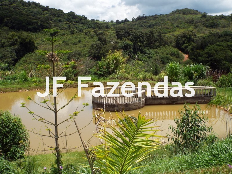 Fazenda em Serranos – MG – 84 hectares