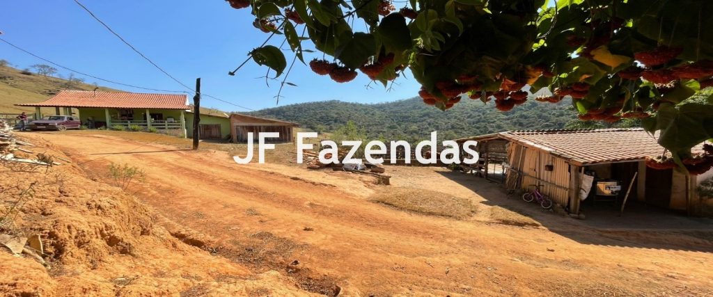 Fazenda em Serranos – MG – 84 hectares