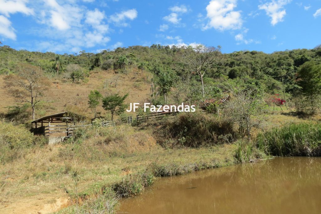 Sítio em Juiz de Fora – 19,8 hectares