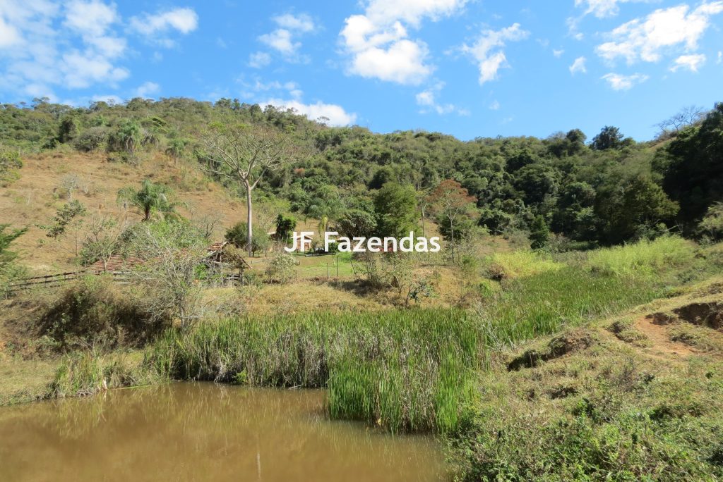 Sítio em Juiz de Fora – 19,8 hectares