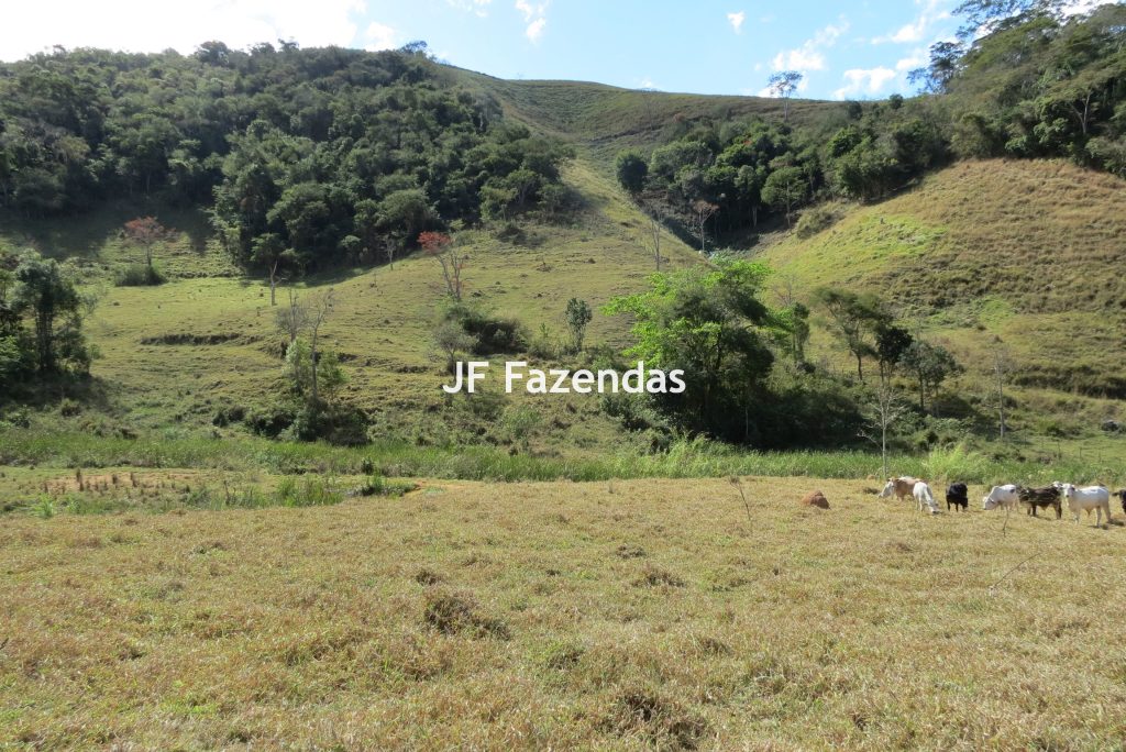 Sítio em Juiz de Fora – 19,8 hectares