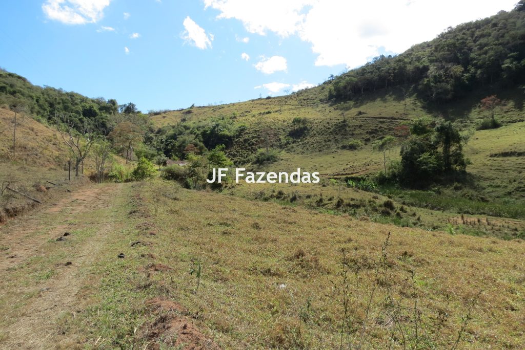 Sítio em Juiz de Fora – 19,8 hectares