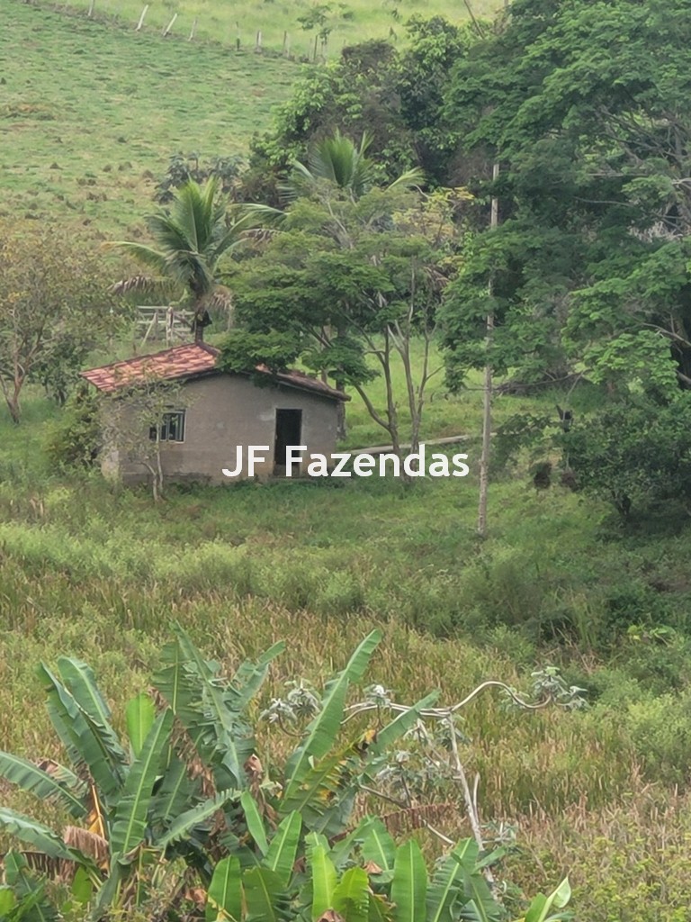 Sitio em Pequeri – MG – 66.98 hectares