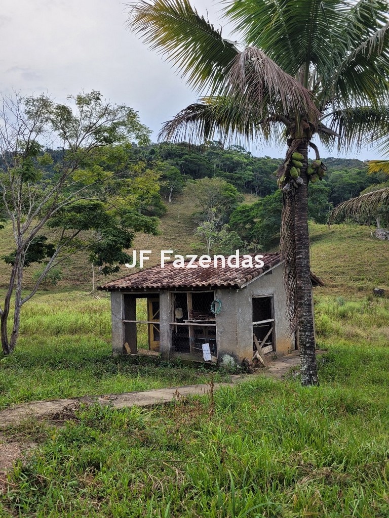 Sitio em Pequeri – MG – 66.98 hectares