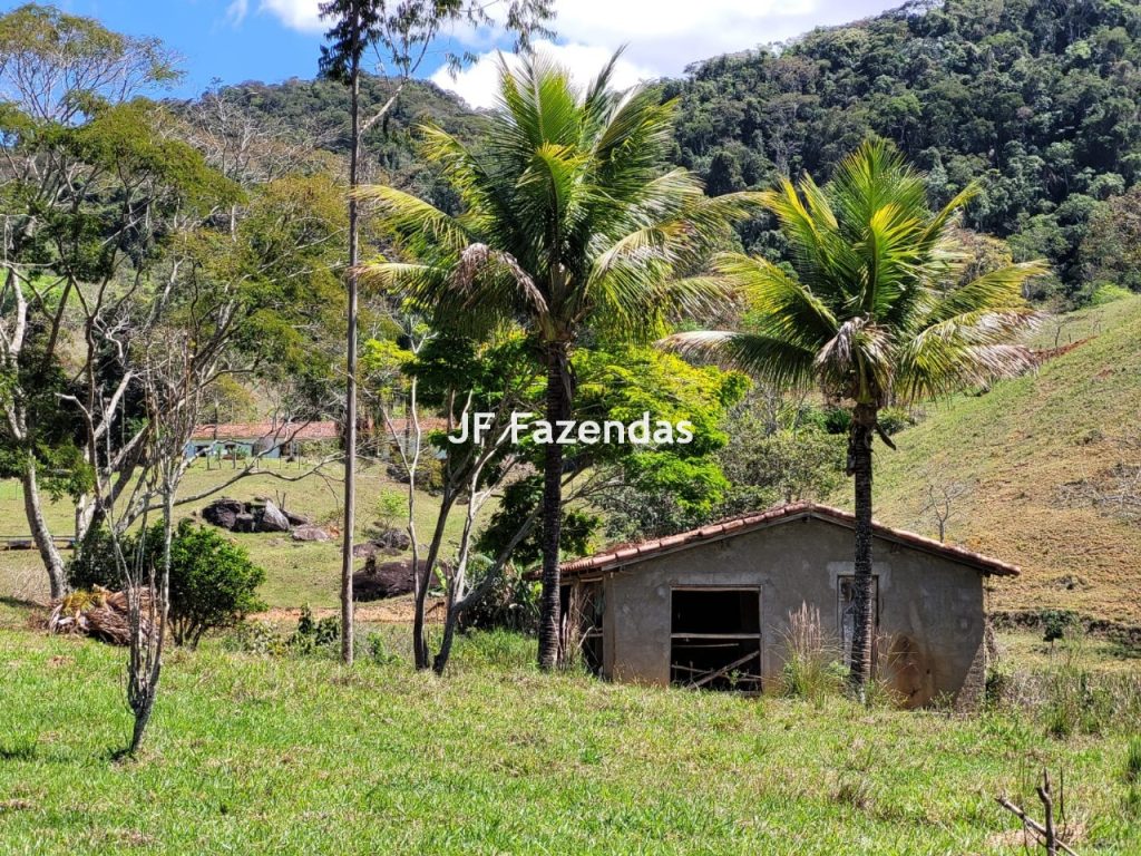 Sitio em Pequeri – MG – 66.98 hectares