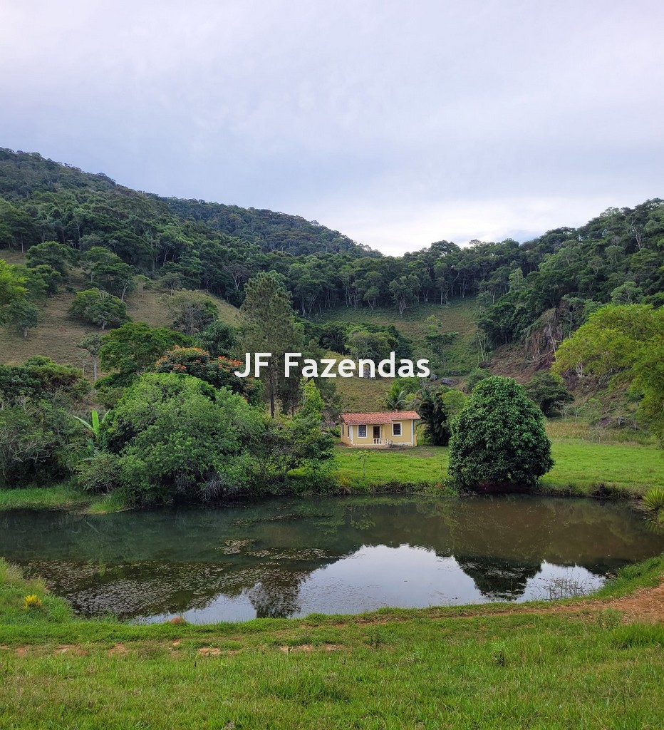 Sitio em Pequeri – MG – 66.98 hectares