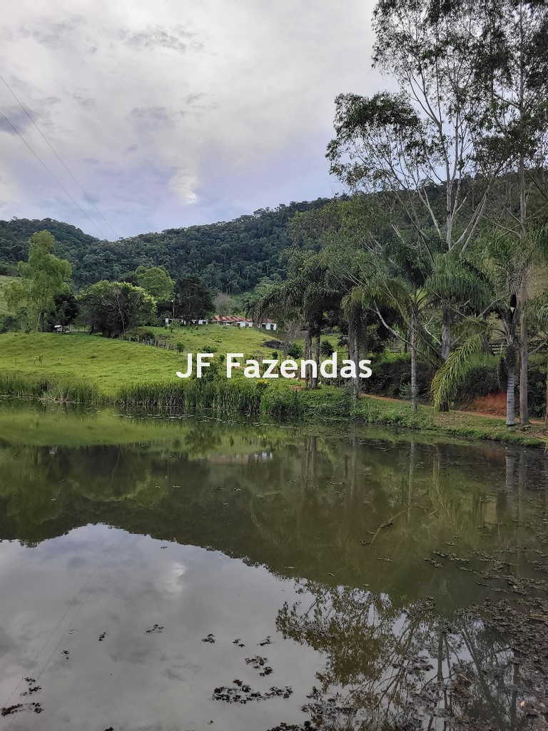 Sitio em Pequeri – MG – 66.98 hectares