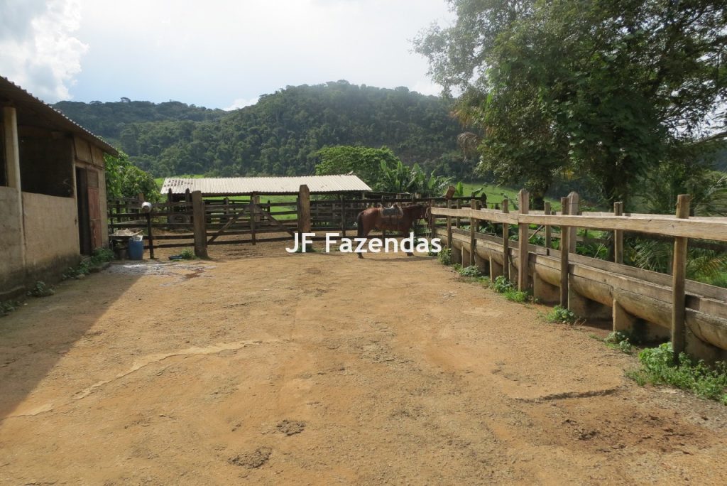 Fazenda em São João Nepomucendo – MG – 230 hectares