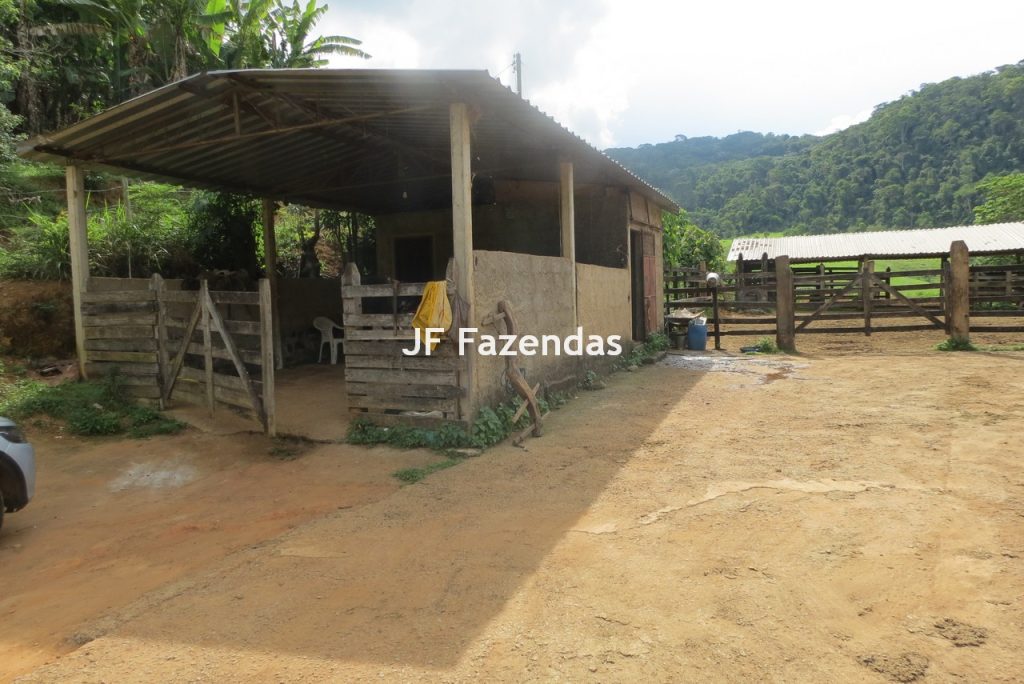 Fazenda em São João Nepomucendo – MG – 230 hectares