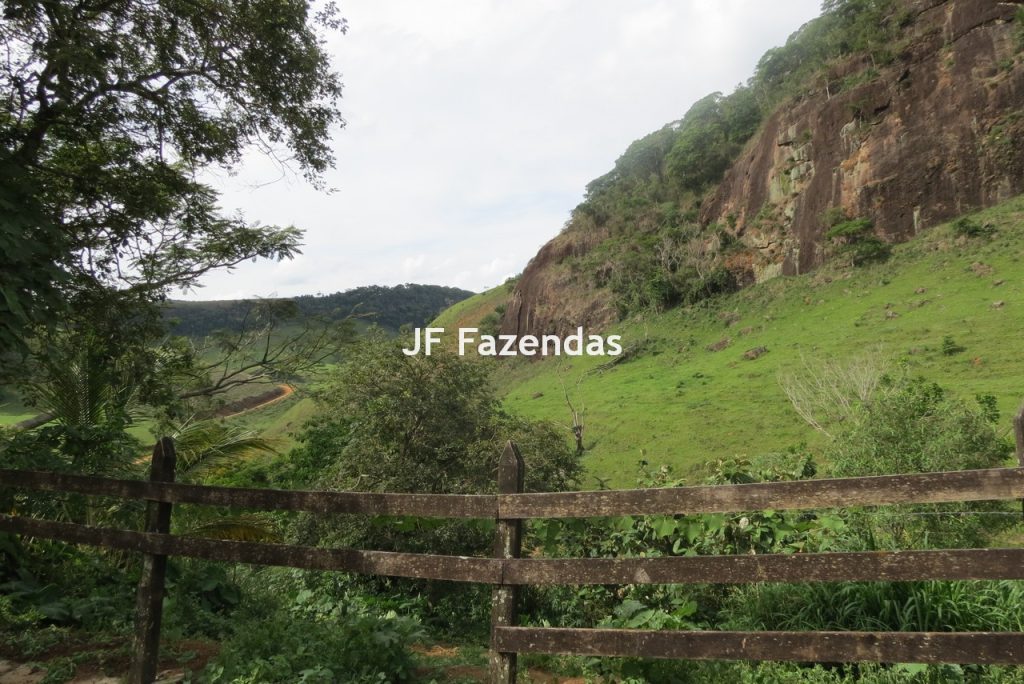 Fazenda em São João Nepomucendo – MG – 230 hectares