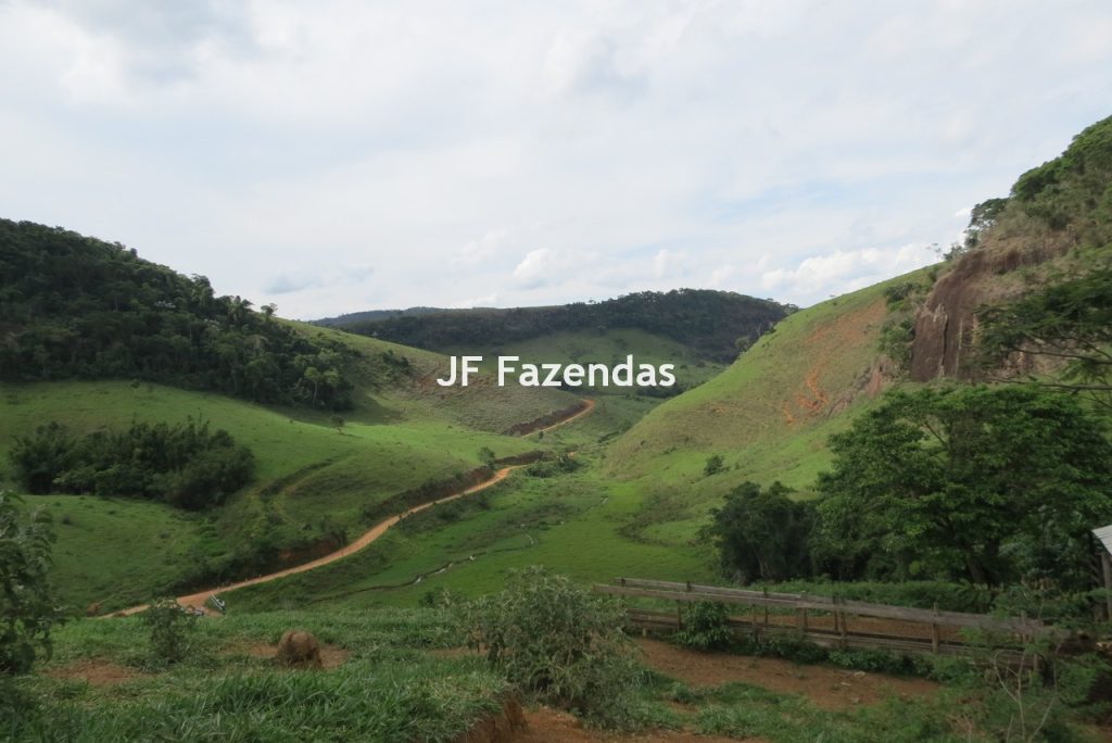 Fazenda em São João Nepomucendo – MG – 230 hectares