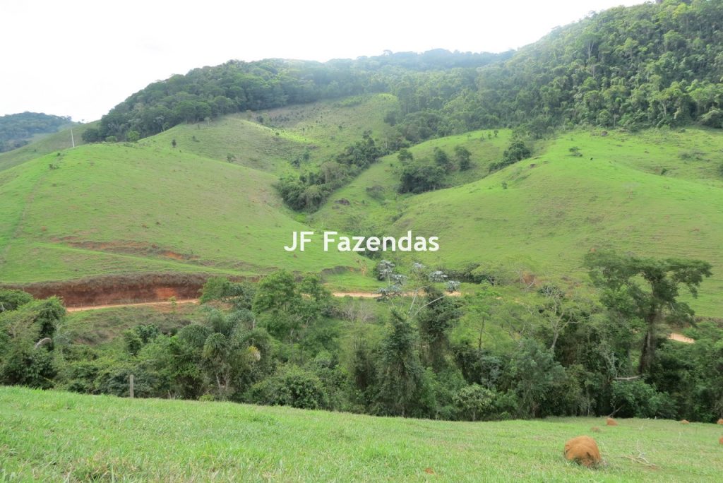 Fazenda em São João Nepomucendo – MG – 230 hectares