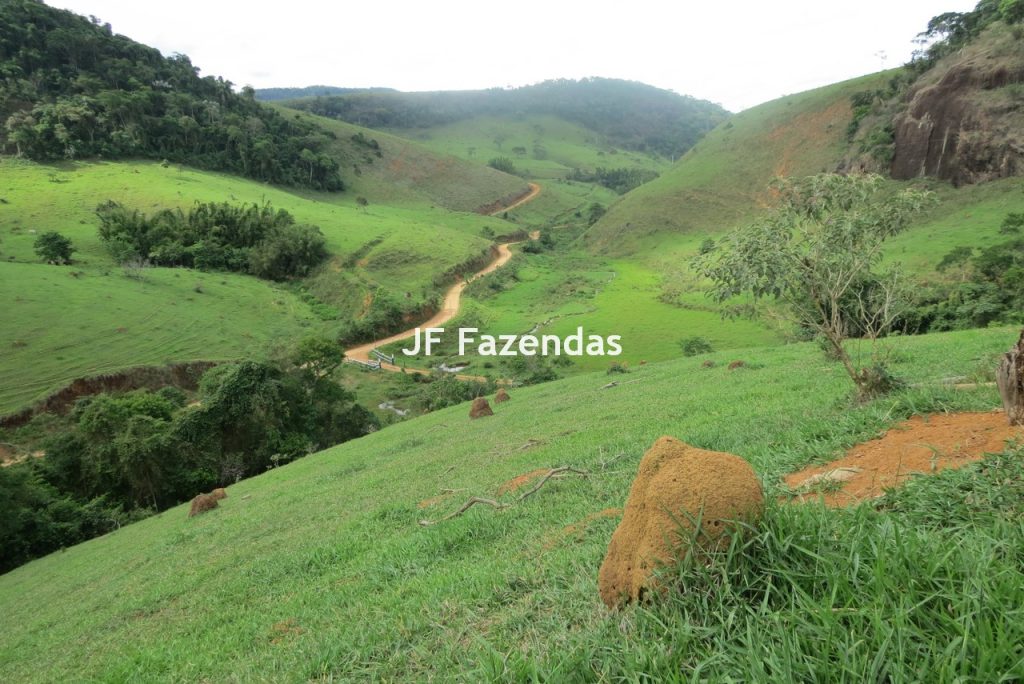 Fazenda em São João Nepomucendo – MG – 230 hectares