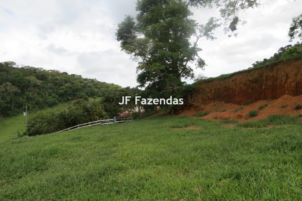 Fazenda em São João Nepomucendo – MG – 230 hectares