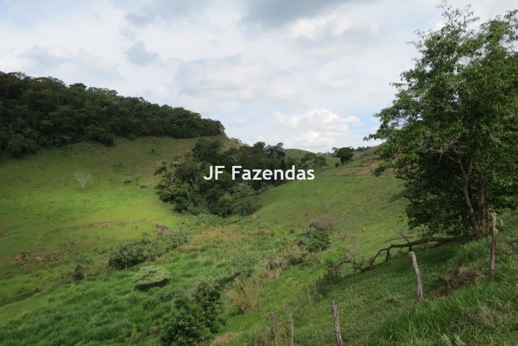 Fazenda em São João Nepomucendo – MG – 230 hectares