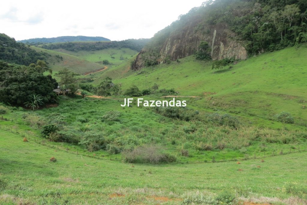 Fazenda em São João Nepomucendo – MG – 230 hectares