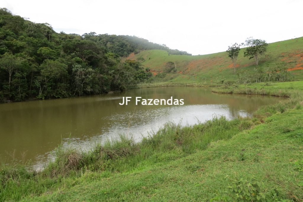 Fazenda em São João Nepomucendo – MG – 230 hectares