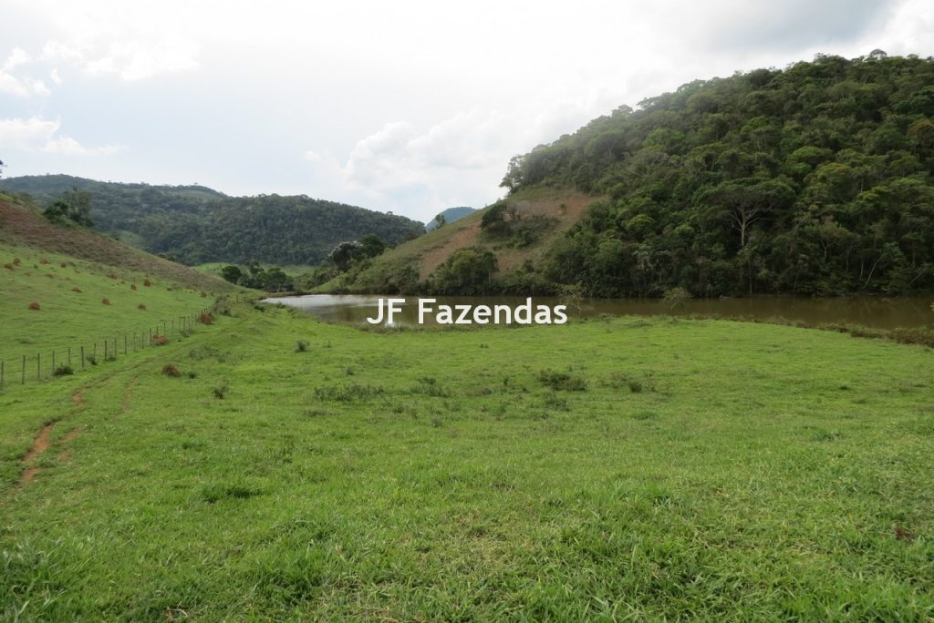 Fazenda em São João Nepomucendo – MG – 230 hectares