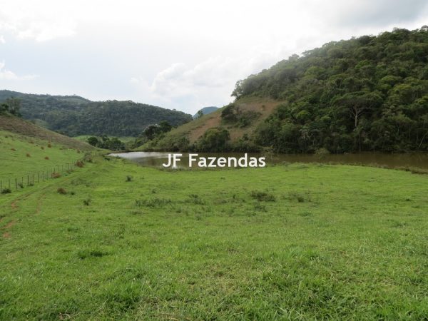 Fazenda em São João Nepomucendo – MG – 230 hectares